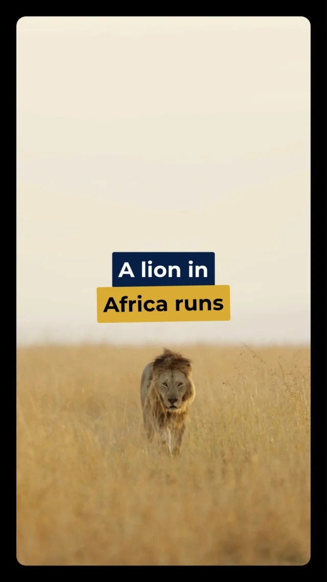 When experience meets truth — it’s not about being different, it’s about being right.
💬 In this moment, Sanjit shares a raw insight on what the business world truly needs — clarity, capability, and purpose.
Let’s stop running to be seen, and start running to mean something.

🎙️ #SanjitSpeaks #BusinessWisdom #EntrepreneurMindset #DubaiBusiness #LeadershipThoughts #inspirationdaily #Dubai #dubaïlife #smsconsulting #smsrealty #smscast #sanbantalks #companyformation #dubaibusiness #companysetup #uae🇦🇪
